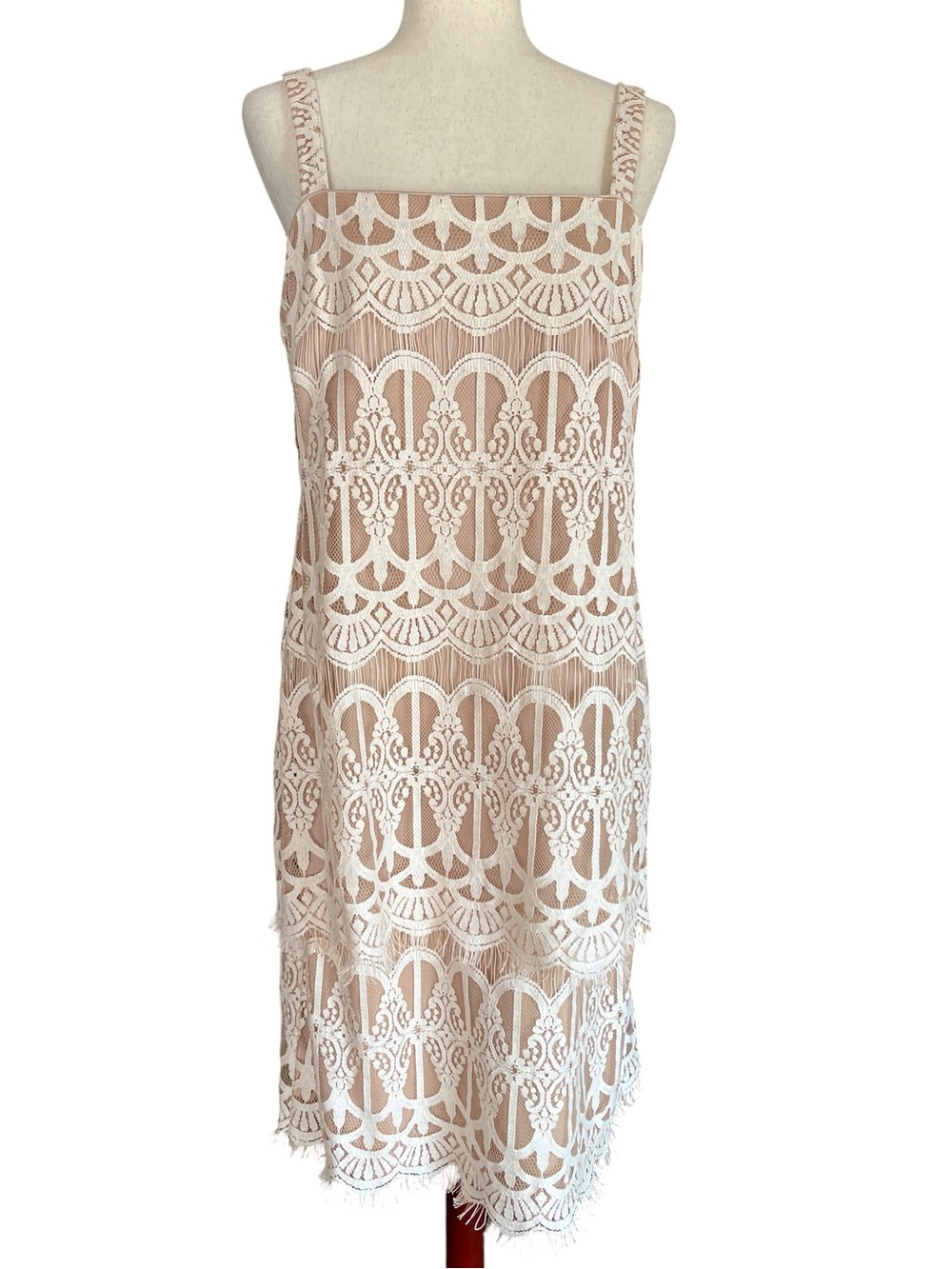 R&M Richards Blush Lace Cocktail Dress
